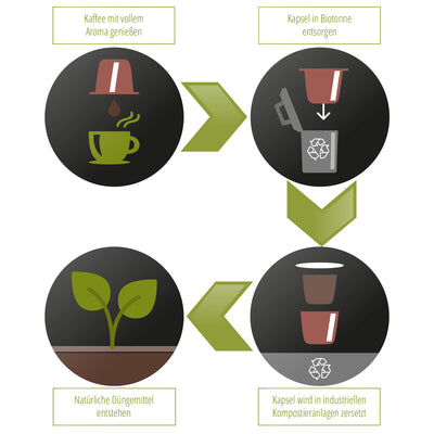 Eco Line - Vaniglia - 10 Capsules